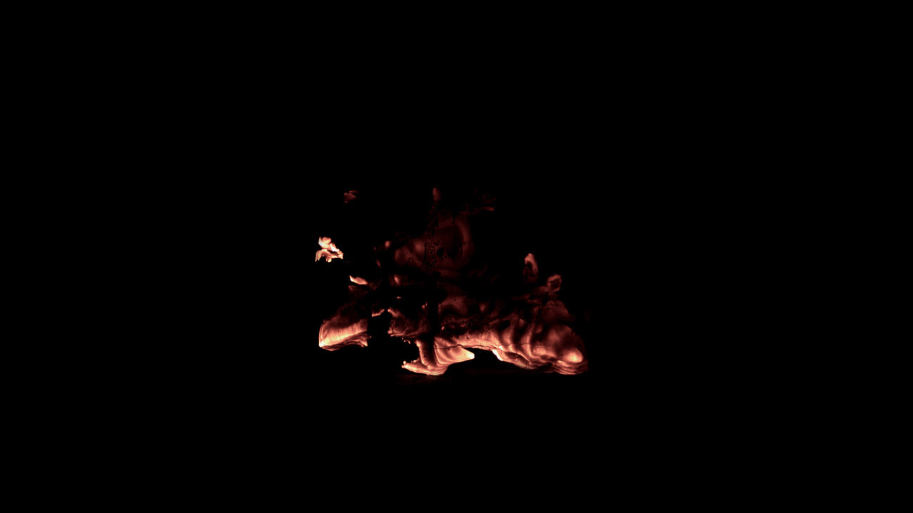 Burning Wood 11