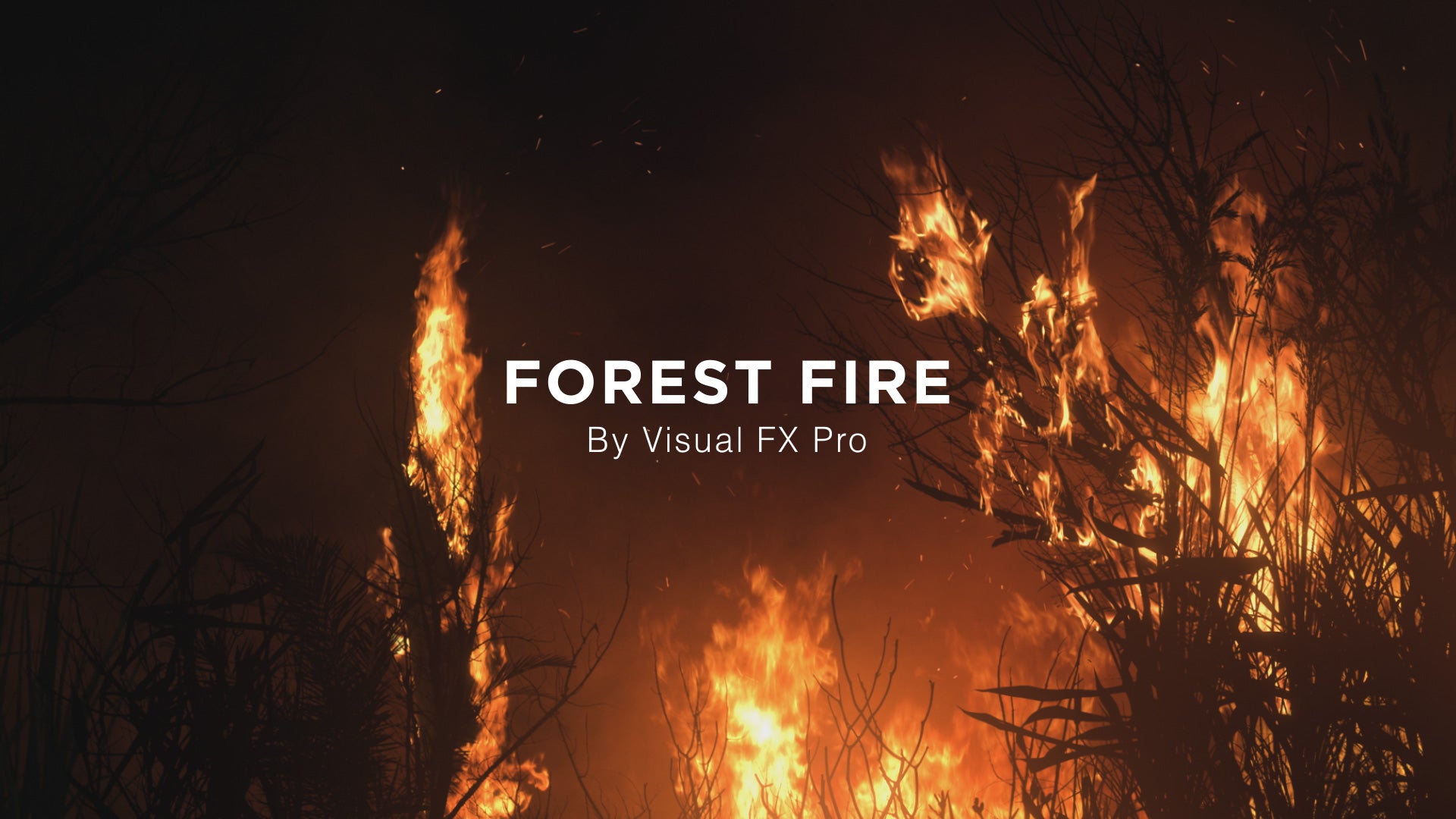 Create Realistic Forest Fire VFX - Forest Fire - Vol. 1