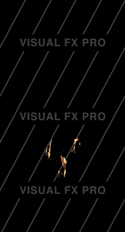Branches Fire 07
