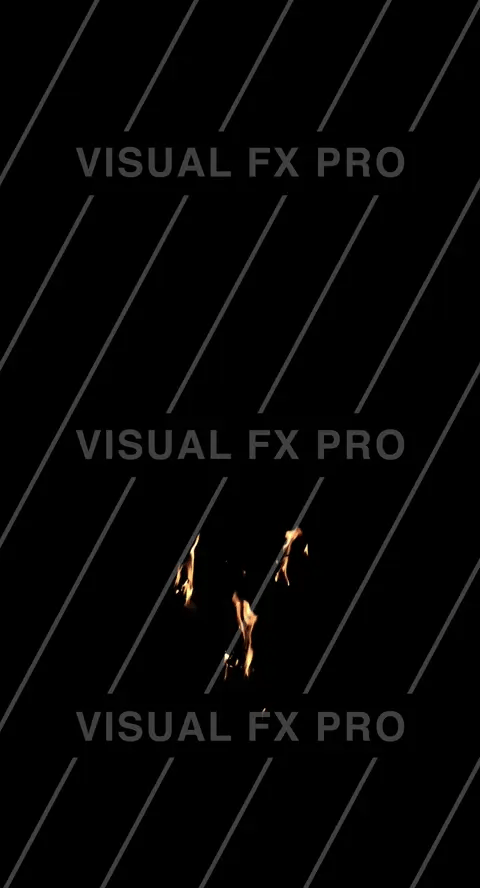 Branches Fire 07