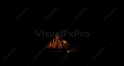 Ceiling Fire Windy 06