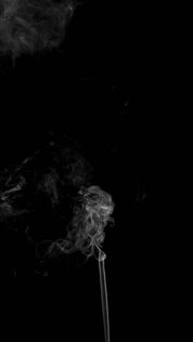 Cigarette Smoke 010