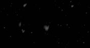 Falling Snow Close Up 02