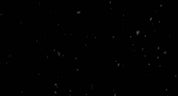 Falling Snow Close Up 04
