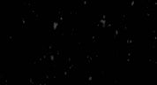 Falling Snow Close Up 05