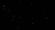 Falling Snow Mid 01