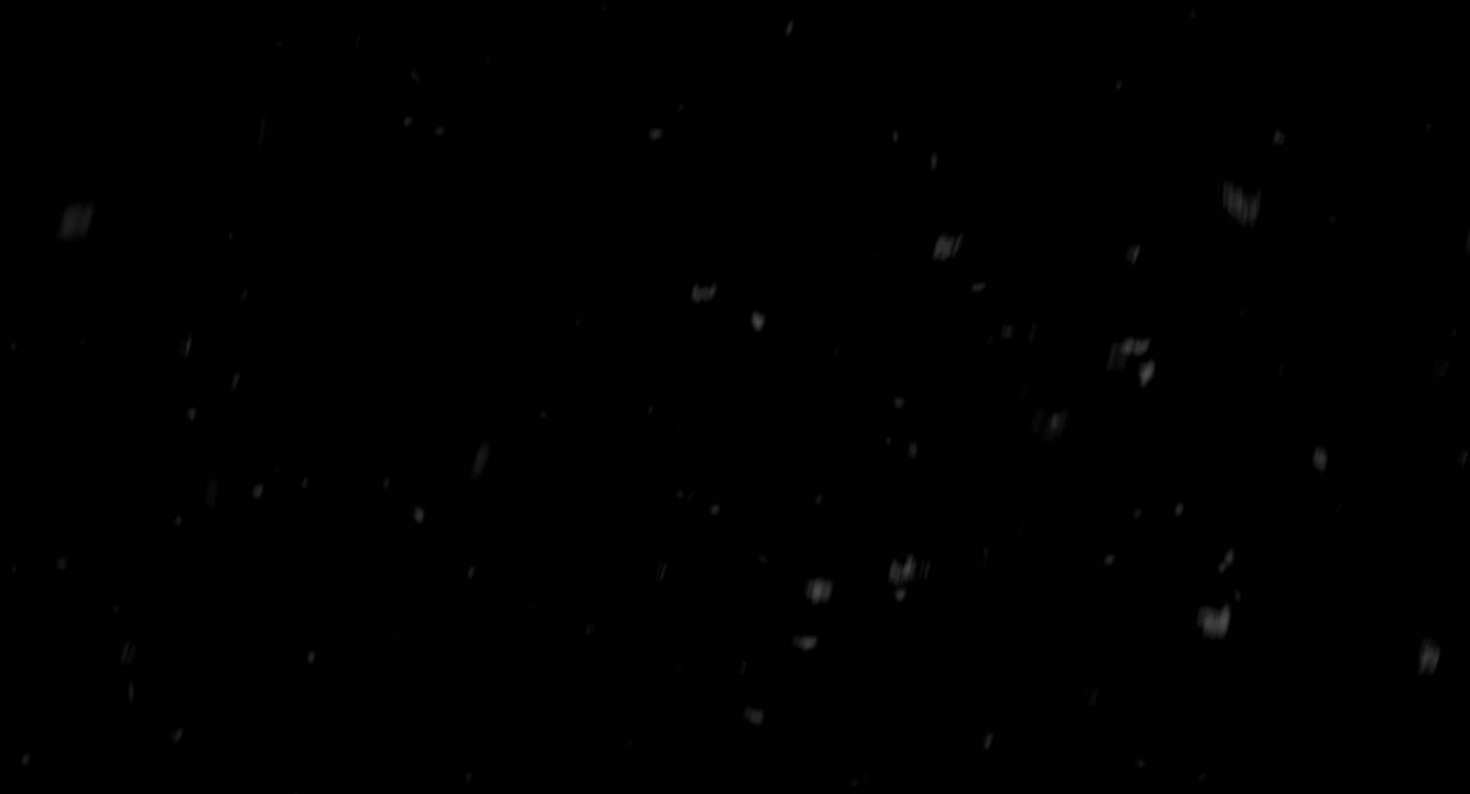 Falling Snow Mid 05