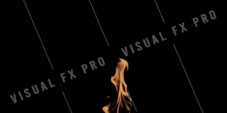 Flame_Torch_025_WEBP.webp