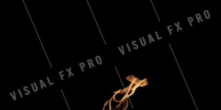 Flame_Torch_026_WEBP.webp