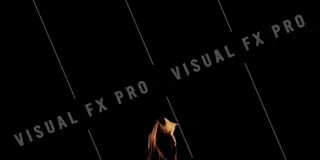 Flame_Torch_027_WEBP.webp