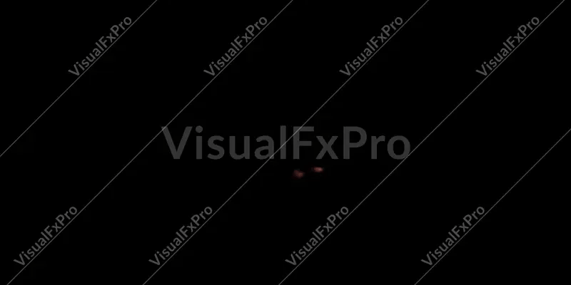 FrontFlash12_WEBP.webp