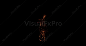 Wall Fire 09