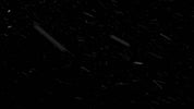 Windy Snow WIDE 009