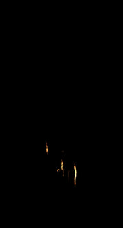 Branches Fire 07