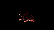 Burning Wood 11