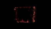 Burning Wood 13 B