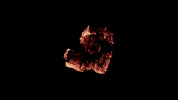 Burning Wood 14 B