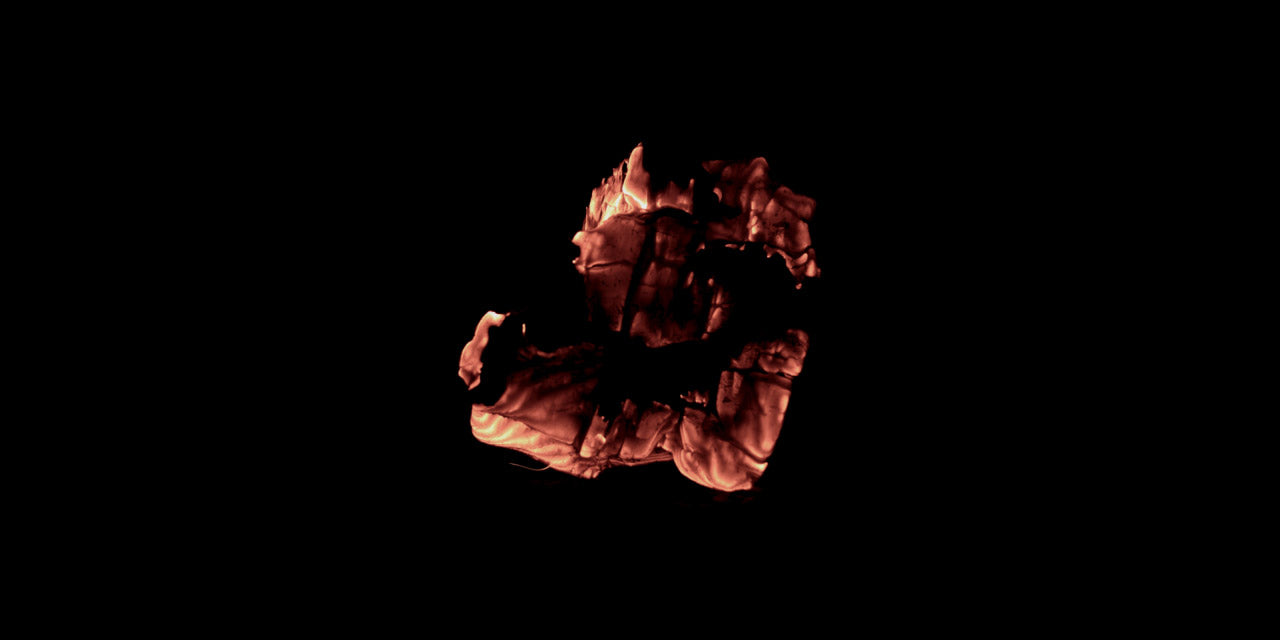 Burning_Wood_14_B.jpg