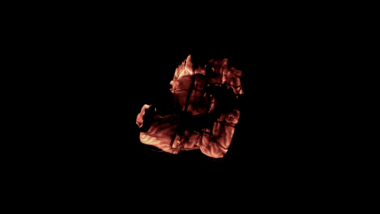 Burning Wood 14 B