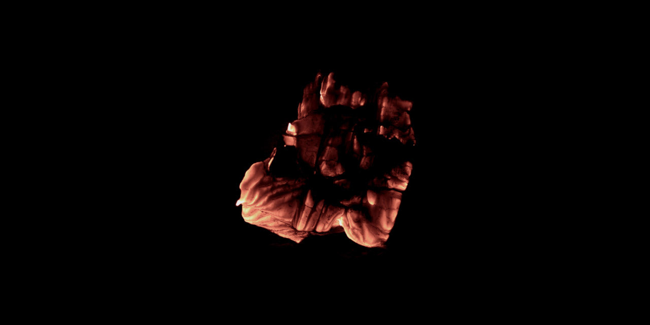 Burning_Wood_14_C.jpg