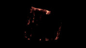 Burning Wood 15 A