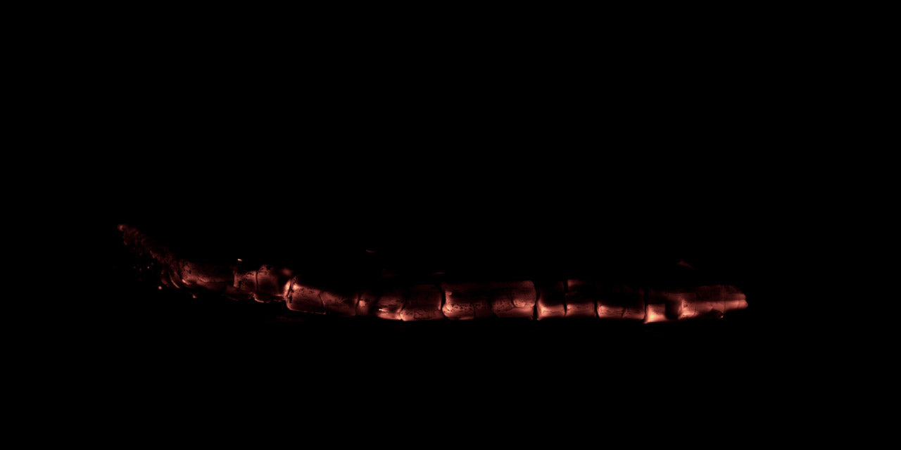 Burning_Wood_22_A.jpg