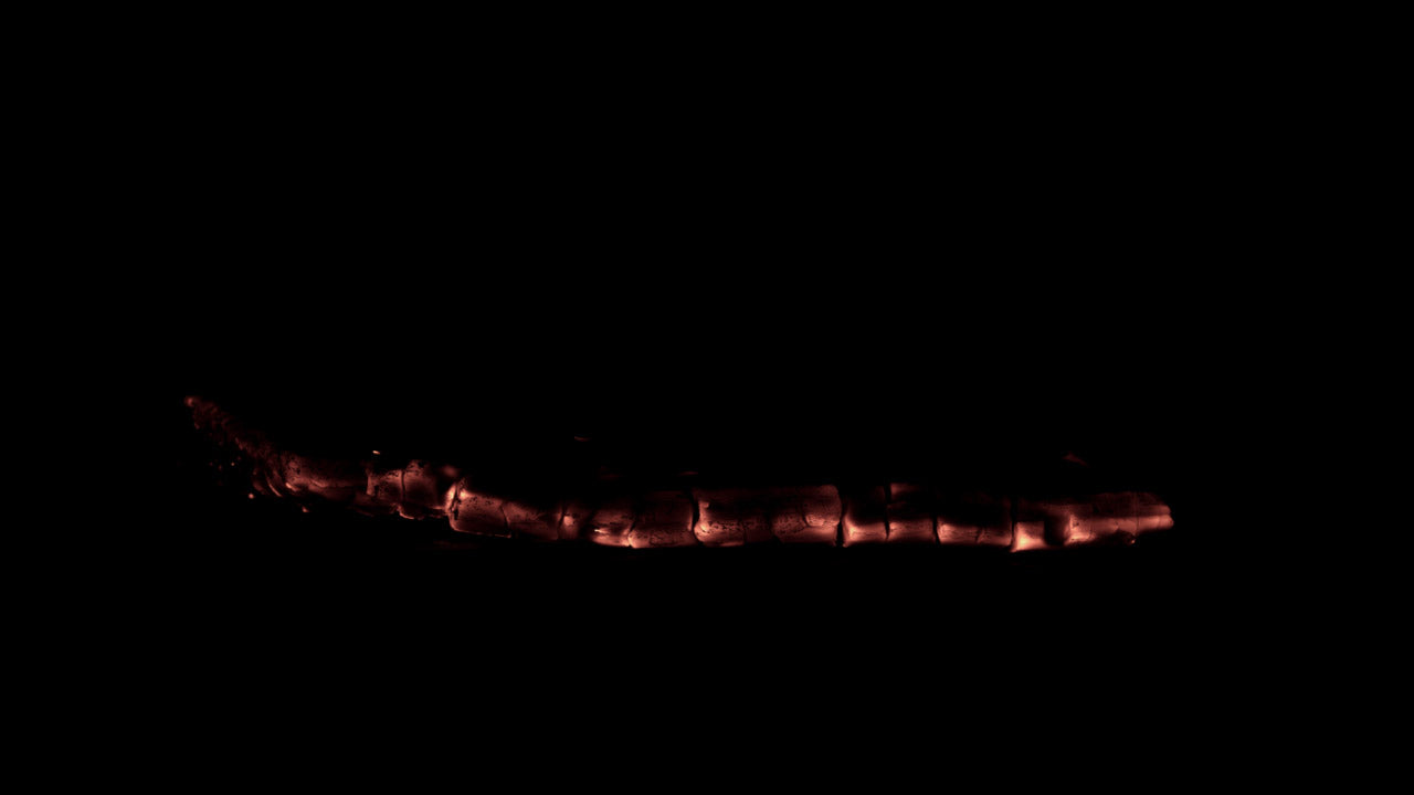 Burning Wood 22 A