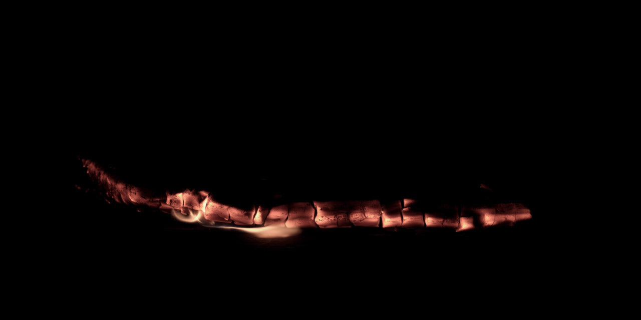 Burning_Wood_22_B.jpg