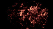 Burning Wood 23 B
