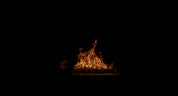 Ceiling Fire 07