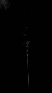 Cigarette Smoke 008