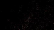 Close Up Fire Embers 04