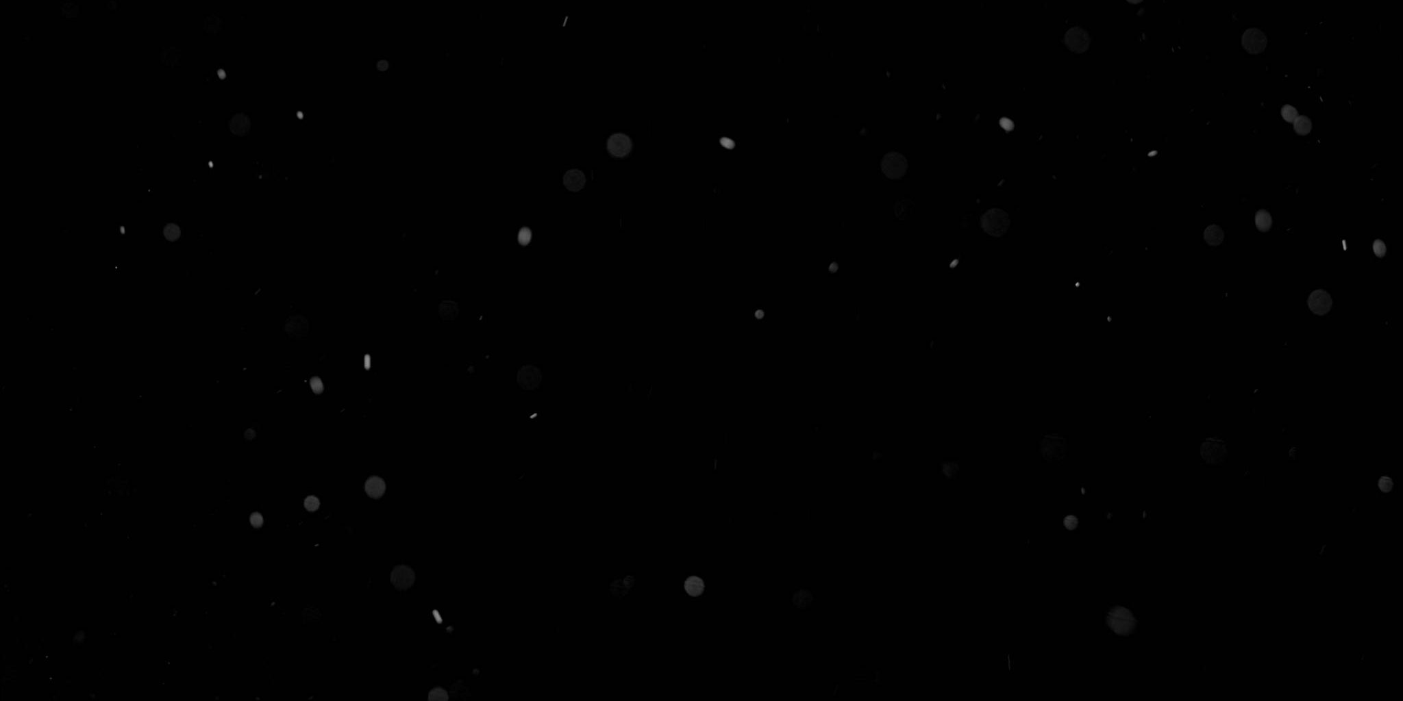 Dust_Particles_Close_046.jpg