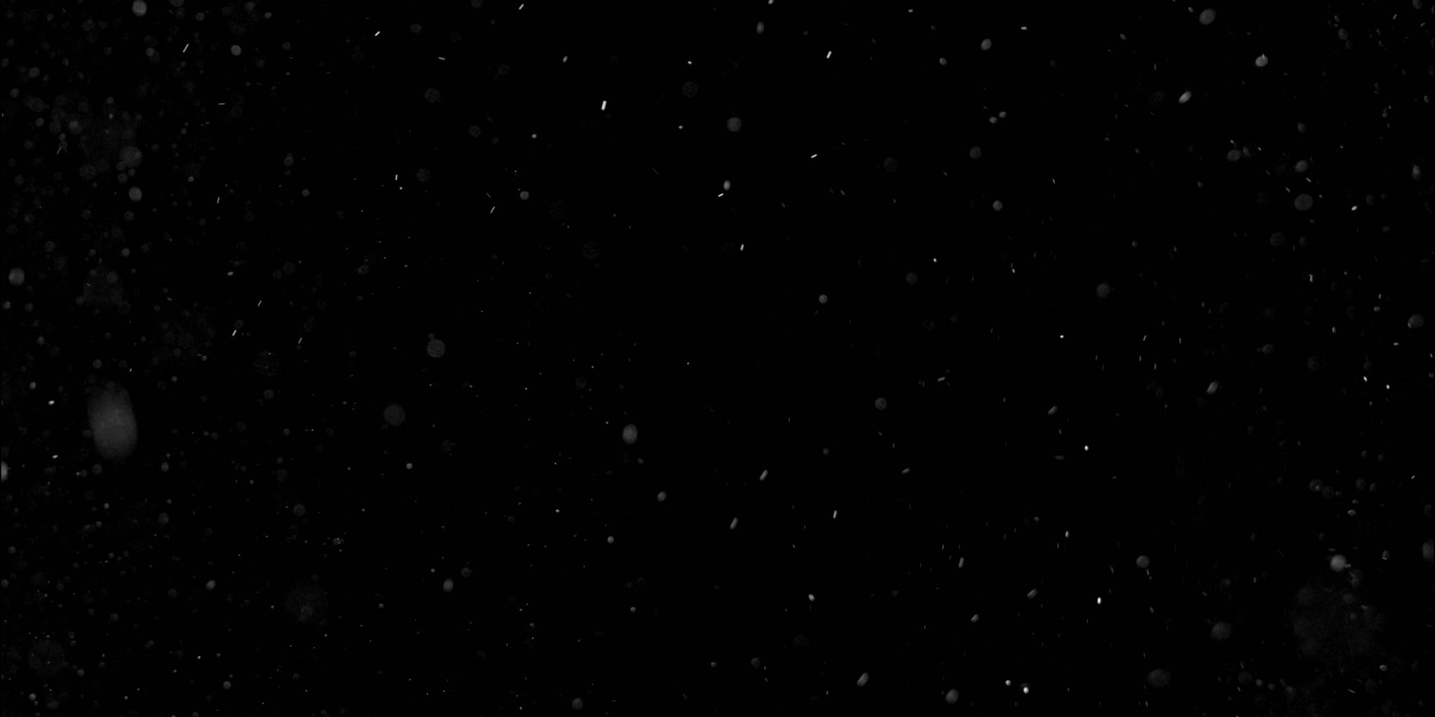 Dust_Particles_Medium_038.jpg