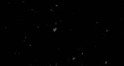 Falling Snow Close Up 03