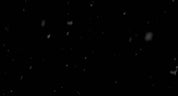 Falling Snow Close Up 06