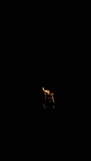 Flame Torch 023