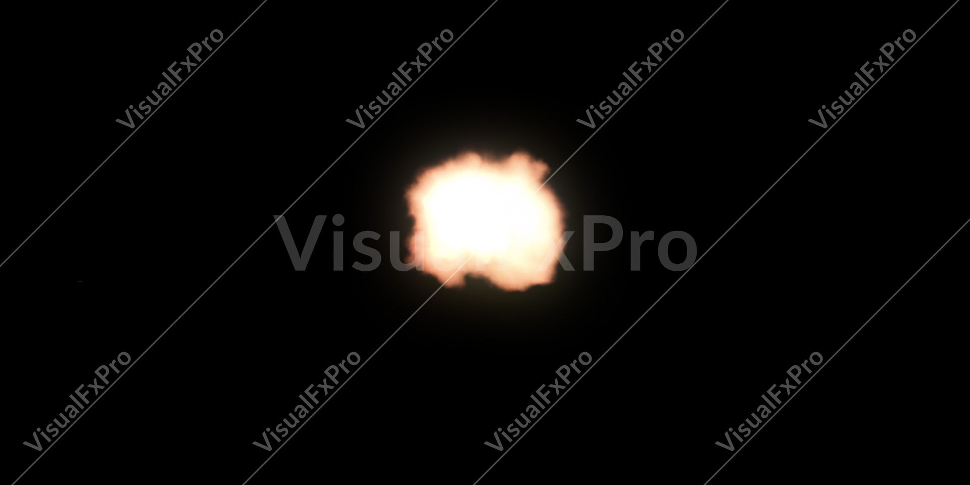 FrontFlash12.jpg