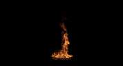 Large Ground Fire_06