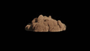 Sandstorm 001 FRONT ON