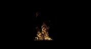Small Ground Fire_04