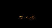 Small Ground Fire_16