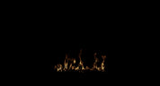 Small Ground Fire_19