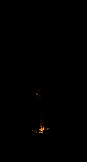 Tree Trunk Fire 02 D
