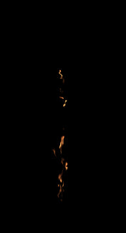 Tree Trunk Fire 03 E