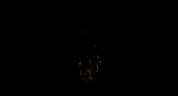 Wall Fire 11