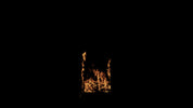 Wide Window Fire Front 01 C