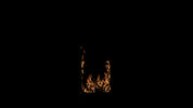 Wide Window Fire Front 01 D