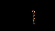 Wide Window Fire Side 01 E