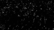 Windy Snow CLOSE 002